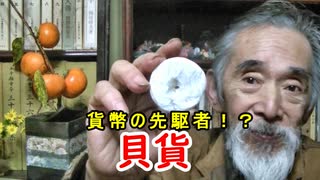 【貝貨】古銭の元祖！？その歴史に迫ってみろ！！