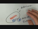 ［再］BCGマクロファージ説