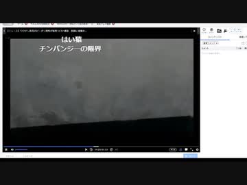 ちゃんみわ　チンパンジーの限界に挑戦する