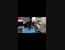 トントンするとお尻がクイッとなる現場猫#Shorts【野良猫】【感動猫】