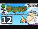 第5回『テラリア』記憶を無くしたつもりでニューゲーム　再録12
