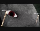 【廻廻奇譚／Eve】リコーダーで吹いてみた