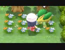 【実況】ポケットモンスターBD その１１