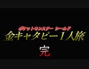 【実況】ポケモン剣盾 ～金キャタピー1人旅～ その１１