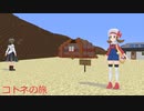 ポケモンコトネの旅その19年末年始