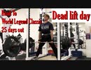 脚の日のスモウデッドリフトで足腰がバキバキになりました【Road to World Legend Classic 25 days out】