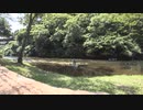BRZでさなゆうのんびりドライブ Part55　小矢部市宮島峡編・後編