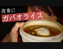 【咀嚼音】夜食にエスニックなガパオライスを食べていきます【Okano's ASMR】