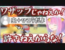 【2021/12/6】ワザップコメントに騙されるルーナ姫【#ホロライブ切り抜き/姫森ルーナ/ポケモン】