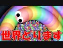 【スリザリオ】ヘビが伸びるゲームで1位になります！【発狂注意】【slither.io】