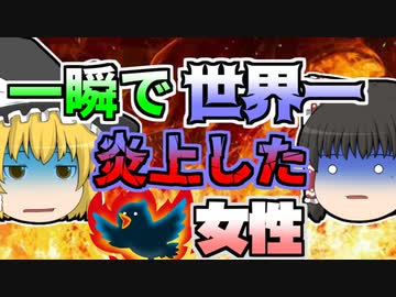 【2013年】たった一言の「つぶやき」で、世界一炎上してしまった女性「ツイッター炎上事件」【ゆっくり解説】