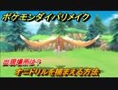 ポケモンダイパリメイク　オニドリルを捕まえる方法！出現場所は？【ブリリアントダイヤモンド・シャイニングパール】