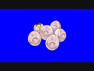 トレーナーからじばくを命令され哀叫するタマタマBB