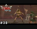 うわぁ～ボスだぁ～！【ゼルダの伝説スカイウォードソードHD】#30