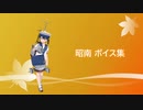 【2021/11/19艦これ実装】昭南 ボイス集
