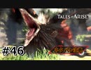 #46.大瀑布登頂【TALES of ARISE】【ネタバレ注意】(畑)