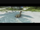APEX montage