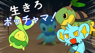耐えろポッチャマ！水ポケシンオウ旅③【ポケモンBDSP】