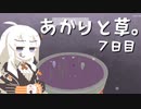 【VIRIDI】あかりと草。7日目【VOICEROID実況】
