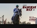 【中央競馬】プロ馬券師よっさんの第22回チャンピオンズカップ（GI）
