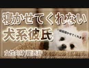 【女性向けボイス】寝ようとしても寝かせてくれない犬系彼氏【関西弁/ASMR】