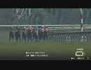 ついなちゃんのふいんきでウイポ9 2021の裏側26