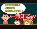 【ゆっくり解説】個人勢Vtuberの「その登録者数で3D」の謎について