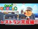 【あつまれ どうぶつの森 ハッピーホームパラダイス実況】飲食店？？OK！任せて！part30【完成編】