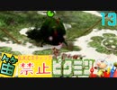 笛が使えないオリマーの冒険【笛禁止ピクミン】13日目　呪われし原生生物との対峙