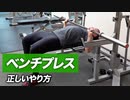 【初心者】ベンチプレスの正しいやり方【ビーレジェンド プロテイン】