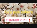 【お箏演奏でフラダンス】ku`u pua sakura