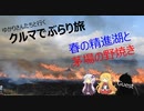 クルマでぶらり旅 Part.4 ～精進湖と朝霧高原～
