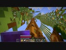 【Minecraft】マインクラフト 実況プレイ294