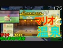 マリオ初心者向け講座　１７５回「マリオと温泉」