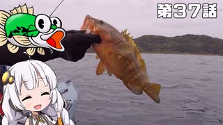 【VOICEROIDフィッシング】あかりちゃんと行くカヤックフィッシング第37話