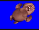 命の産声.baby