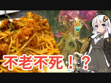 【MHRise】イソネミクニの不老長寿ラグーパスタ【モンスターイーターあかり #5】
