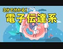 誰でも分かる 電子伝達系 | 管理栄養士が解説【ビーレジェンド プロテイン】