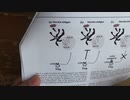 Treg細胞とは何か