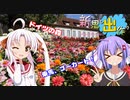 新思ひ出作り第7話「おかやまフォレストパークドイツの森、ひまわり温泉」