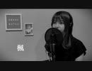 楓   スピッツ 　cover by　天野なつ