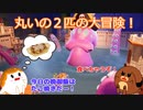 丸いの２匹の大冒険！It Takes Two#７