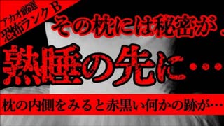 【2ch怖い話】ソバ殻の枕【恐怖ランクB】