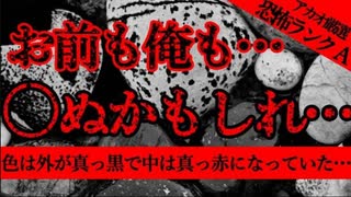【2ch怖い話】拾った石【恐怖ランクA】