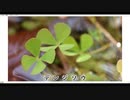 ミル式合作【ネタが多すぎてタグに困る動画を自称します】