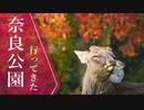 【ゆっくり旅行】秋の奈良公園で鹿と遊ぶ 編 | いいとこめぐり#3