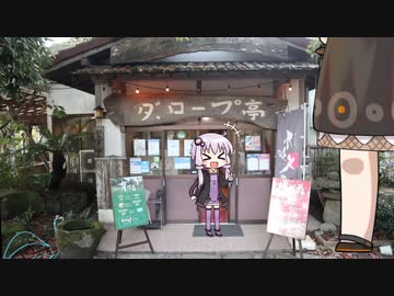 派手好きゆかりのバイク旅 巨大ヒレ肉を食べに行こう編