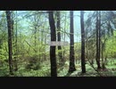 陽月詩 feat.初音ミク／noname