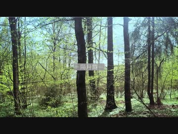 陽月詩 feat.初音ミク／noname