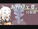 【VIRIDI】あかりと草。10日目【VOICEROID実況】